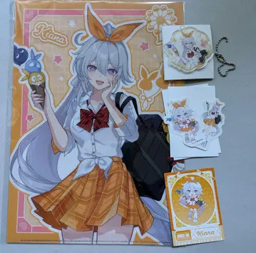 붕괴3rd 돈키호테 키아나 세트