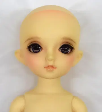 보크스 유SD 여아 치카