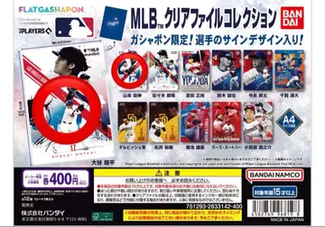 MLB 클리어 파일 컬렉션 오타니 쇼헤이 야마모토 요시노부 2장 세트