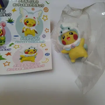 메가 메가팬텀 판초를 입은 피카츄