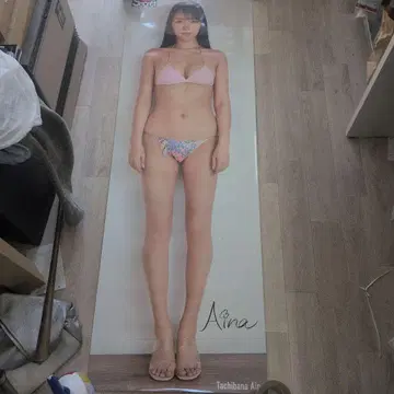 타치바나 와나 아사게 secret 등신대 포스터