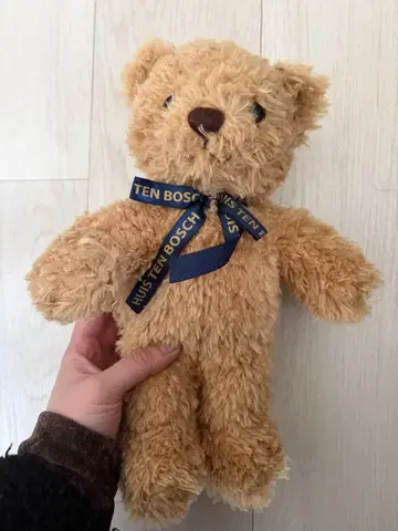 하우스텐보스 한정판 테디베어 리본 봉제 인형