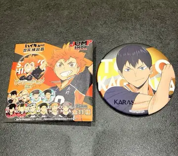 하이큐 합동 연습회 2022 캔뱃지 데코레이션 사양 카게야마 토비오