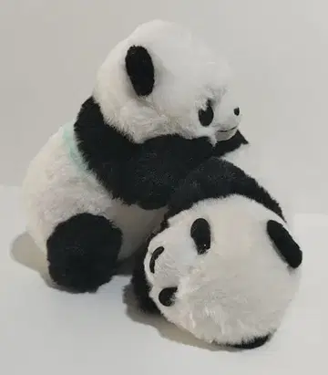 샤오샤오 & 레이레이 덜덜 봉제 인형