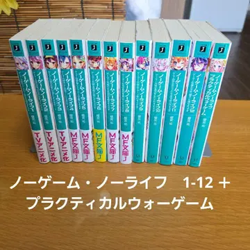 노 게임 노 라이프 소설 전권