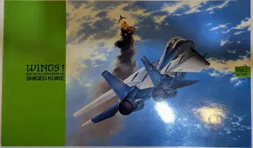 하세가와 제작 코이케 시게오 화집 WINGS