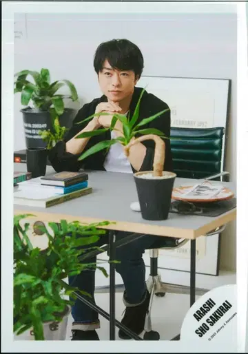 아라시 23년 포트레이트 시리즈 사쿠라이 쇼 공식 사진 *1장