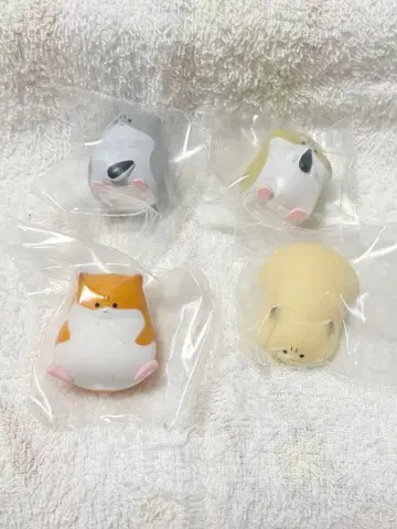 화난 햄스터 햄쨩 세미 컴프