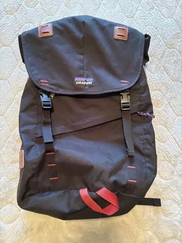 Patagonia 파타고니아 백팩 ArborClassicPack26L