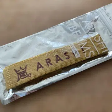 아라시를 여행하는 전시회 BEAMS 러기지 마크 니노미야 카즈나리