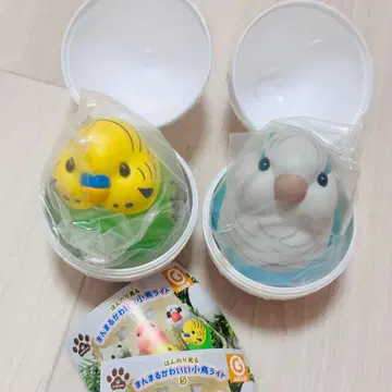 만마루쨩 귀여운 작은 새 라이트 5