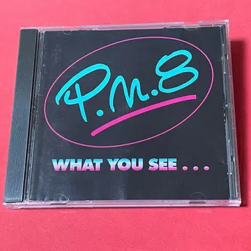 극레어/자주반 독일 멜로디어스 AOR P.N.8/WHAT YOU SEE