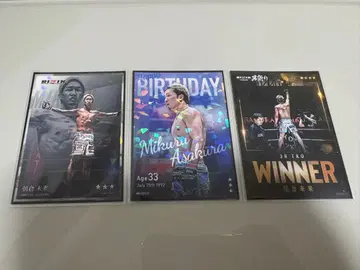 RIZIN 라이코레 리얼 카드 아사쿠라 미쿠루 트레이딩 카드 3종 세트