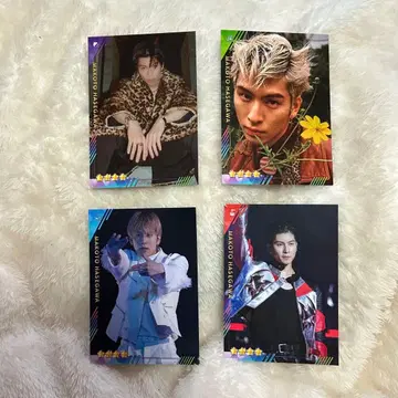 하세가와 신 토라킨 리얼 카드 4장 세트