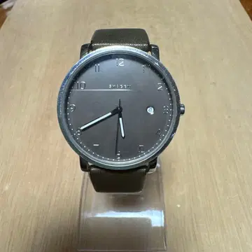 스카겐 SKW6306 HAGEN 작동품