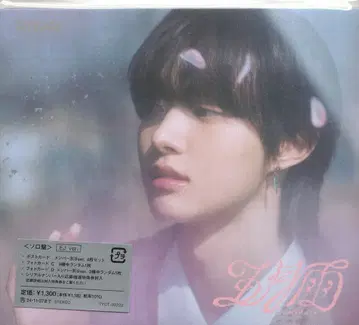 &TEAM Solo Jacket Edition EJ May Rain