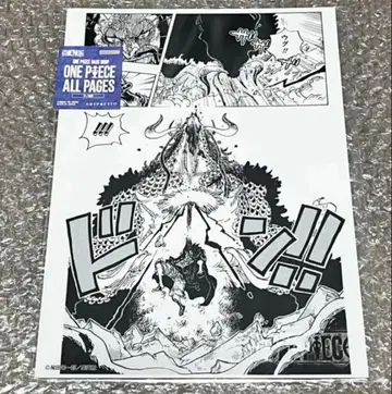 ONE PIECE ALL PAGES 루피 원피스 베이스샵