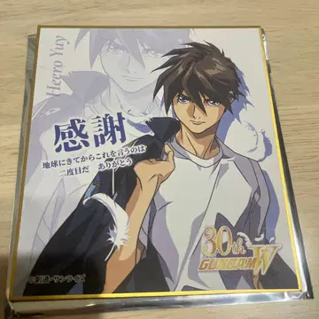 건담W 히이로 유이 색지