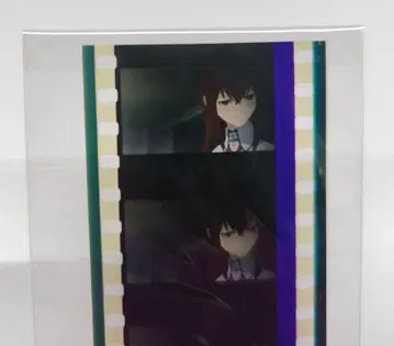 슈타인즈 게이트 생필름 마키세 크리스