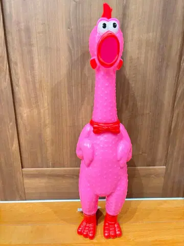 대절규 점보 치킨