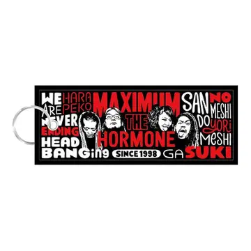 맥시멈 더 호르몬 MTH U.S.POP 플라이트 택