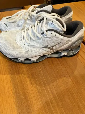MIZUNO Wave Prophecy 미즈노 러닝