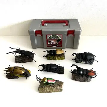 스태그 비틀 8체 세트 수납 박스 포함