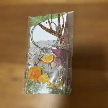 프레드릭 레오 레오니 x FRDC 콜라보 아크릴 키링