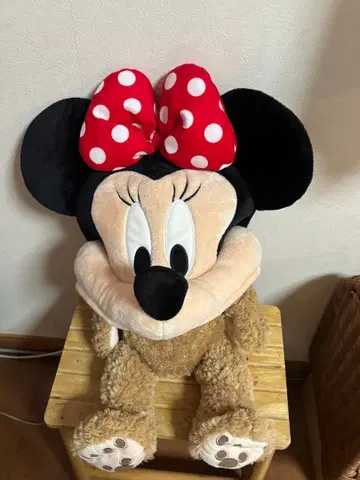 미니 마우스 팬캡