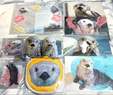 캡슐 복권 랏코의 메이짱 복권 사진 프레임 에코백 메이 9종 세트