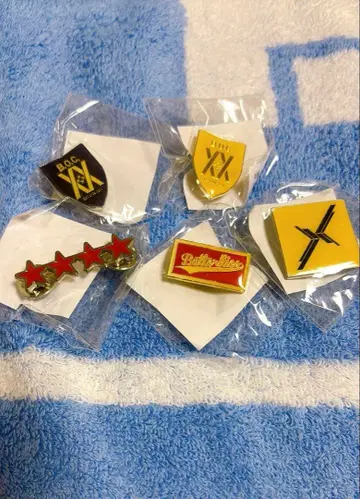 BUMP OF CHICKEN 핀 배지 5개 세트