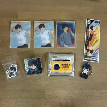 하이큐!! 카게야마 토비오 6세트