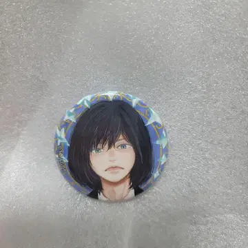 fgo fes 오베론 캔뱃지 1점