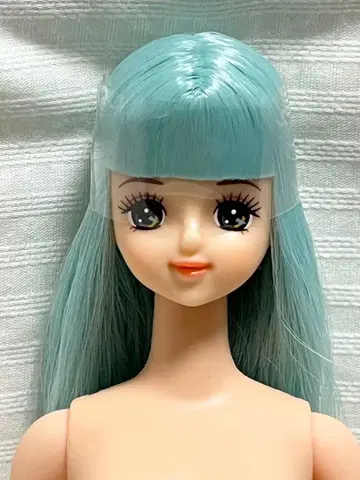 제니 프렌드 아야노 리카짱 캐슬 리틀팩토리