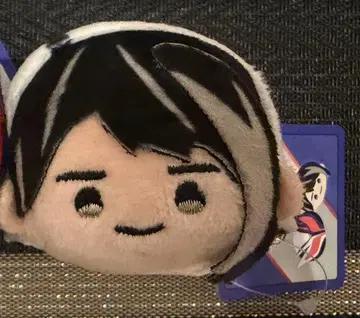 가면라이더 제츠 오테다마 녹스 가면라이더 스토어 봉제 인형