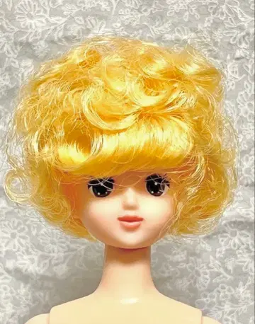 제니 프렌드 로베리아 아프로짱 리카짱 캐슬 즐거운 인형