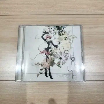 FELT Stand Up 동방 어레인지 CD 동인