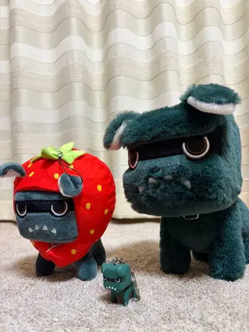 데리마루 안아 데리마루. 손바닥 데리마루. 고토치 도치기 딸기 세트