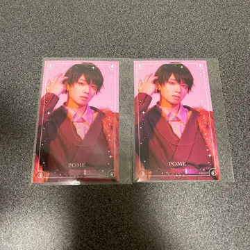 캐터리아 우에다 케이스케 포메 하프 브로마이드