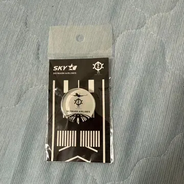 사이온지 스카이마크 유리 핀즈