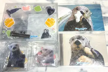 캡슐 복권 랏코의 메이짱 복권 포토 프레임 펜 스탠드 5종 세트