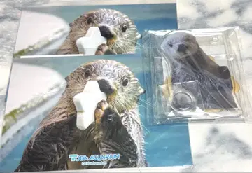 캡슐 복권 랏코의 메이짱 복권 펜 스탠드 브로마이드 키라 3종 세트