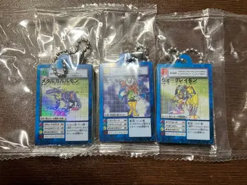 디지털 몬스터 카드 게임 아크릴 참 워그레이몬