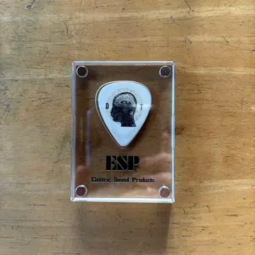 King Gnu 츠네타 다이키 사용 피크