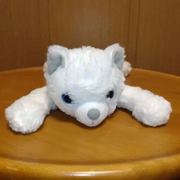니토리 쿠타쿠타 고양이