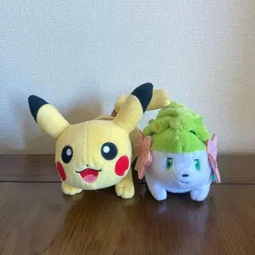 포켓몬 봉제 인형 [ 피카츄 쉐이미 ]