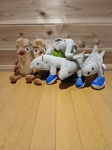 이탈리안 브레인 로트 봉제 인형 세트