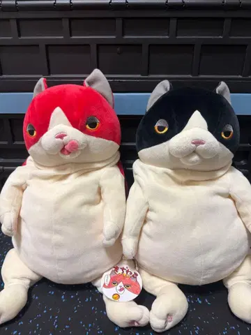 모찌 고양이 다릴 나 오르 타카하시 히로무 L 사이즈