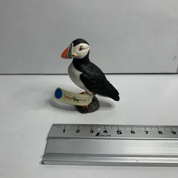 Safari Ltd. 피규어 약 5cm 2010년제