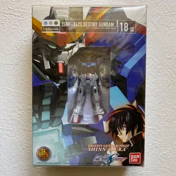 기동전사 건담 HCM pro ZGMF-X42S 데스티니 건담